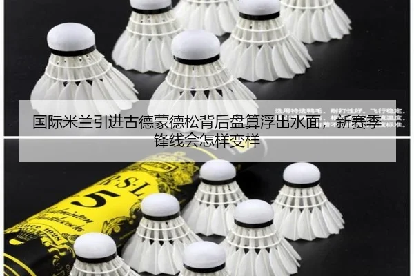 国际米兰引进古德蒙德松背后盘算浮出水面，新赛季锋线会怎样变样